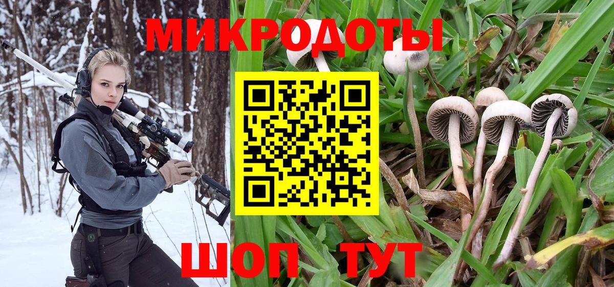 Галлюциногенные грибы GOLDEN TEACHER Соликамск